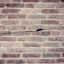 Risse in der Mauer kann Statik schwächen